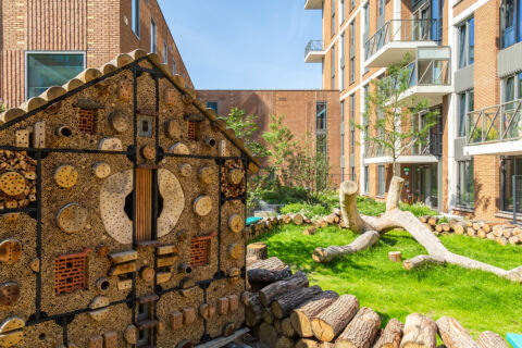 De Groene Kaap in Rotterdam - daktuin