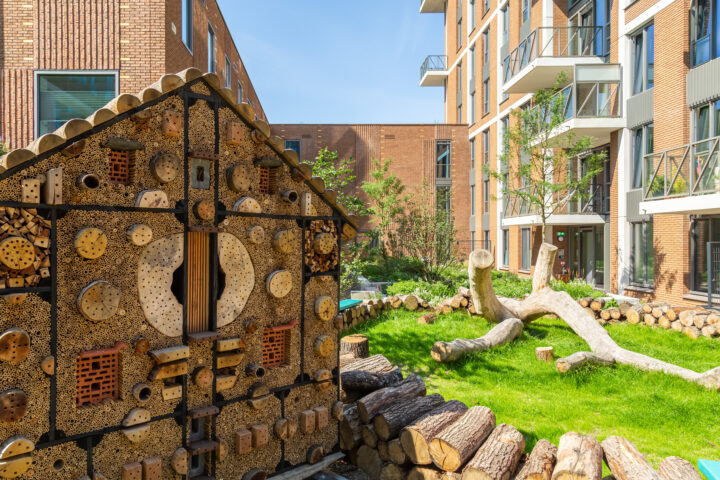 De Groene Kaap in Rotterdam - daktuin