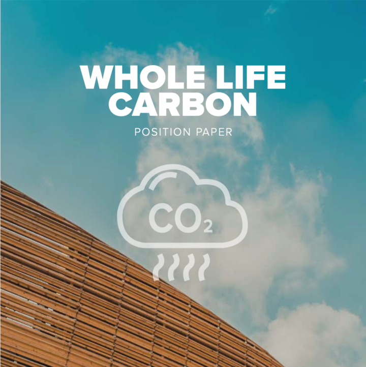 Position Paper Whole Life Carbon
