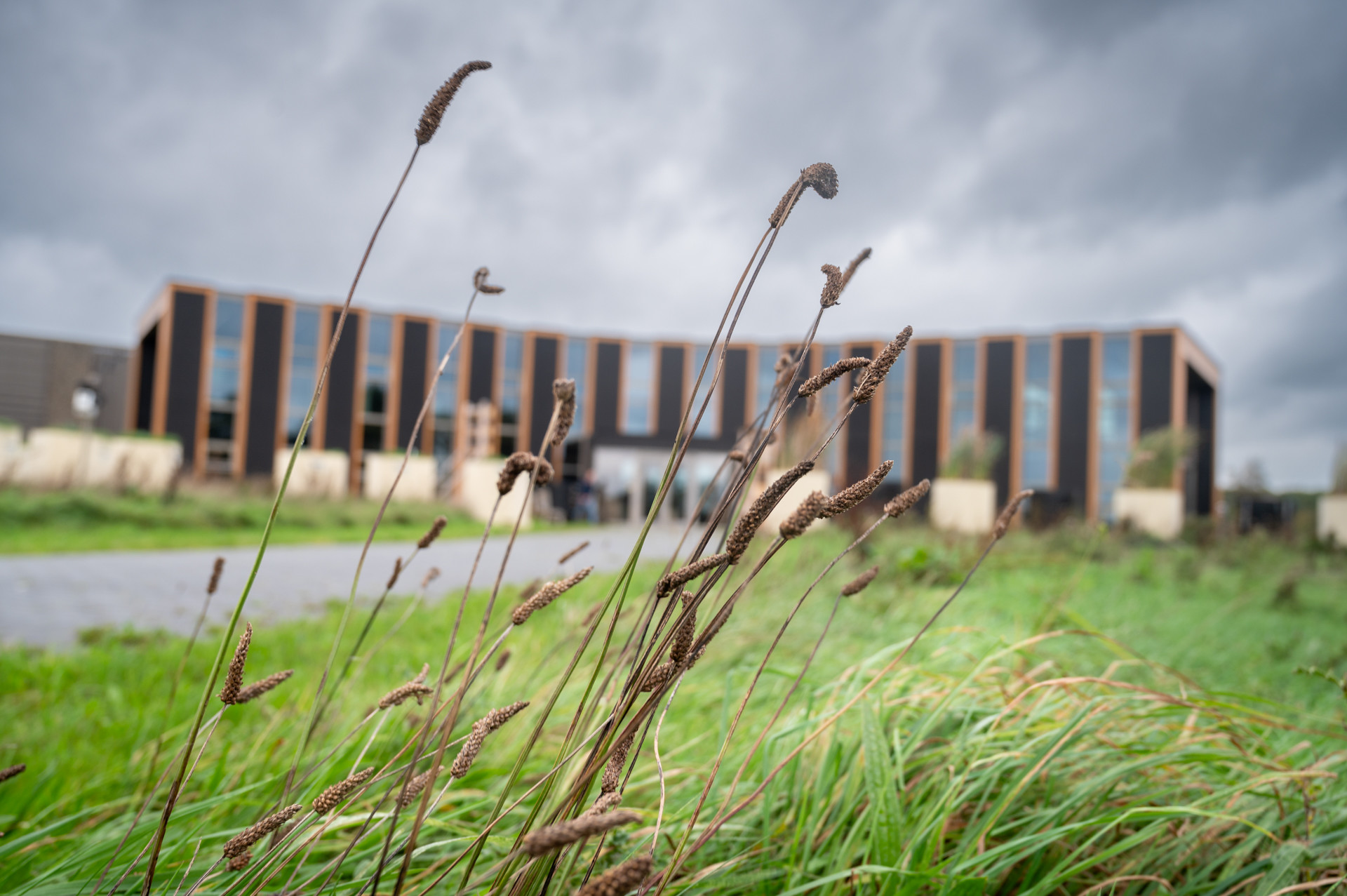 Biosintrum DGBW 2023