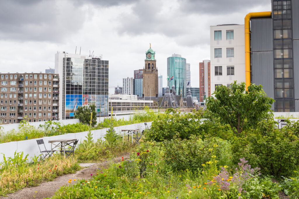 Biodiversiteit
